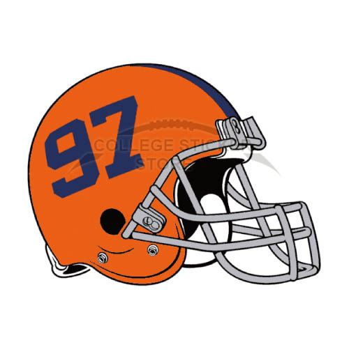 Homemade Syracuse Orange Iron-on Transfers (Wall Stickers)NO.6421